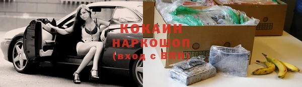 бошки Надым