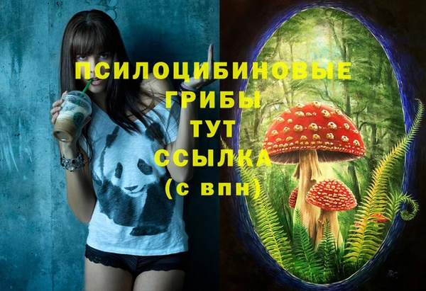 первитин Нефтегорск